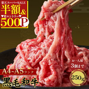 _yVX[p[SALE50OFF^ yll3pbN܂Łzy ō A4 A5a V ؂藎Ƃ 250g z  јa   A4 A5 kCY Ⓚ ~ a [X o o Y 