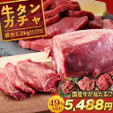 ＼クーポンで49％OFF＆エントリーでP10倍！／ 【 最大1.2kg！牛タン ブロック ガチャ 】北海道産 牛肉 が当たるかも！ 大容量 BBQ バーベキュー 送料無料 牛たん スライス グルメ 焼肉 1kg 牛タンブロック 厚切り牛タン ステーキ タン キャンプ アウトドア