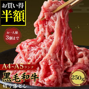 _Ռ50OFFN[|999~^ yll3pbN܂Łzy ō A4 A5a V ؂藎Ƃ 250g z  јa   A4 A5 kCY Ⓚ ~ a [X o o Y 