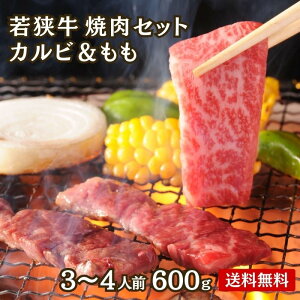 ዷ Jr Zbg 400g`600g A4 A5 3-4lO yNX}X NNn Ε BBQ ̓ јa ēZbg Hה Ă   a Mtg Hו  O j