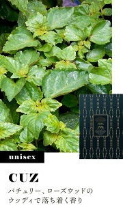 CUZ @ GXWFC i` tOX I[hg20ml / jZbNX / ̃TCY / 200vbV [  fB[X Y Ag}CU[ tOX~Xg tOX() t