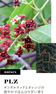 PLZ @GXWFC i` tOX I[hg20ml / jZbNX / ̃TCY / 200vbV [  fB[X Y Ag}CU[ tOX~Xg tOX() tO