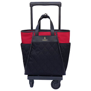 SWANY Xj[ v[tH D-589M21 ubN×bh 4փXgbp[ ^[XCb` 75~T2_XgK[hLX^[ L[P[X \tgL[ sM[P[X L[ 45cm 17+5