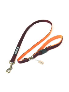 sDOG WEARtMA-1[h L AVIREX ABbNX ybgpi ybgEFAEybg bh O[yz[Rakuten Fashion]