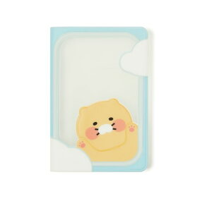 メール便で送料無料 カカオフレンズ 公式 パスポートケース チュンシク