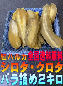 yz֑Szׂɂ͂邩 V^EN^ Bi 2L@ol 󂠂菤i ƒp ق 낽 낽 Xn 錧ЂȂsY  g͂邩  񂻂