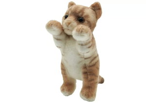 たっちぃZoo にゃんこ MINI エキゾチック キーチェーン 定形外OK たっちぃ ZOO 株式会社リード正規品 アニマル ヌイグルミ ぬいぐるみ キーホルダー 犬 わんこ ネコ 猫 本物 たっちい にゃん