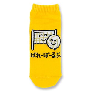  \bNX ΂[ځ[ C@[ւȂ240~őSց@ԂI   23-25cm@o[ o[{[ ͂イ nCLE Nc  ObY IN
