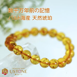 Ao[ uXbg 10mm AAA VR ͂ VR΁yp[Xg[ p[Xg[ANZT[ uXbgzy ^ ^ J^ rO uX v[g Mtg Y f