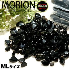【全員にプレゼント付き】モリオン さざれ AAA 100g チベット産 Mサイズ 浄化 さざれ石 morion 天然モリオン 黒水晶さざれ【風水 お守り 厄払い 厄除け 幸運 開運 ギフト プレゼント】