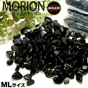 I  AAA 100g `xbgY MTCY  p[Xg[  morion VRI VR   p[Xg[  gC ꐅ   ubN  