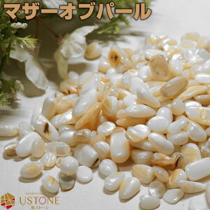 }U[Iup[  100g VR p[Xg[ 100g Ώ TU lCA[g ISiCg 艖yp[Xg[X  J^  肢 Mtgz