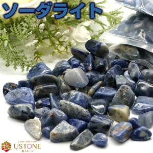 \[_Cg  100g 嗱 VR p[Xg[uWY  艖yyzyΐX  ANZT[  ISiCg | Ntg[N lCA[gz