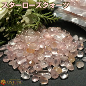 y10OFFzX^[[YNI[c AAA  100g }_KXJY VR p[Xg[yyzyp[Xg[X   ^ ^ Mtg v[gz