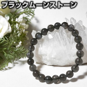 yő20OFFN[|zubN[Xg[ uXbg AAA 8mm XJY VR p[Xg[y |[`t SiNzy K^ J^  Mtg v[