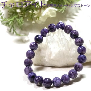 yő20OFFN[|z`ACg uXbg 10mm AAA VAY VR p[Xg[y|[`t SiNzOq[OXg[ `ACg uXy  