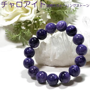 yő20OFFN[|z`ACg uXbg 14mm AAA VAY VR p[Xg[y|[`t SiNzOq[OXg[ `ACg uXy  