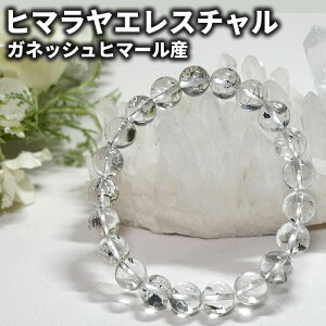 �q�}�������� �u���X���b�g �G���X�`�����N�H�[�c 9mm �K�l�b�V���q�}�[���Y �V�R�� �p���[�X�g�[�� �q�}�����Y �G���X�`�������A�X�g�[�����X ����� �r�� �O�� ��� �K�^ �J�^ �j�� ��