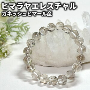 �q�}�������� �u���X���b�g �G���X�`�����N�H�[�c 10mm �K�l�b�V���q�}�[���Y �V�R�� �p���[�X�g�[�� �q�}�����Y �G���X�`�������A�X�g�[�����X ����� �r�� �O�� ��� �K�^ �J�^ �j�� 