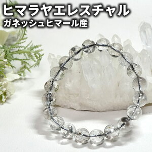 �q�}�������� �u���X���b�g �G���X�`�����N�H�[�c 10mm �K�l�b�V���q�}�[���Y �V�R�� �p���[�X�g�[�� �q�}�����Y �G���X�`�������A�X�g�[�����X ����� �r�� �O�� ��� �K�^ �J�^ �j�� 