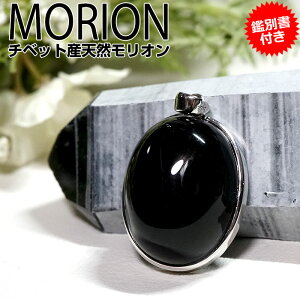 I y_ggbv lbNX   `xbgYyӕʏtzAAA VR p[Xg[morion Vo[925      ANZT[ ObY y_g