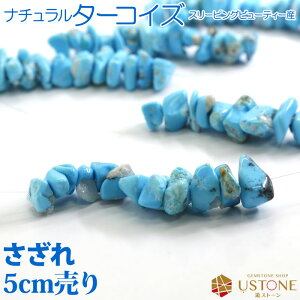 ySɃv[gtzX[sOr[eB[ ^[RCY 5cmP `bvij VR p[Xg[ A]iYy[ցzyp[Xg[X o VR΃r[Y 