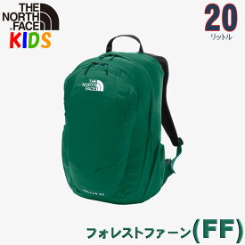 ノースフェイス キッズ リュック【10-12歳】【20L】テルス 子供用リュック North Face 【バッグ 林間学校 キャンプ バックパック リュック 子供用 ジュニアサイズ】