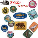 超P祭 ザ・ノース・フェイス キッズ ワッペン 【リメイク アイロン オリジナル 自分流 個性あるリメイク アウトドアブランドおしゃれカッコイイカワイイ】North Face TNF Wappen