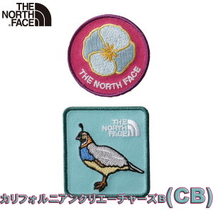 P UEm[XEtFCX LbY by yCN AC IWi  郊CN AEghAuhJbRCCJCCzNorth Face TNF Wappen