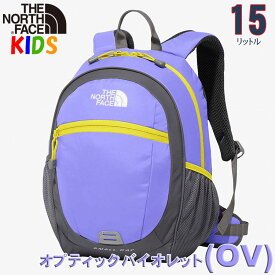 ノースフェイス キッズ リュック【5-9歳】【15L】North Faceスモールデイパック 【男の子 女の子 バッグ 遠足 お泊り保育 旅行 キャンプ バックパック アウトドア 小学生 未就学児 子供用】 Kids Small Day