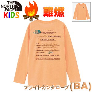 P UEm[XEtFCX LbYy100-150cmzTVc t@C[tC North FaceyRf  Lvp j̎q ̎q AEghAuh z