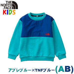 P UEm[XEtFCX LbY fiXEFbgN[y100-120cmzNorth Face g[i[VcOVїp  j̎q̎qAEghAuhJCCJbRCC AE^[