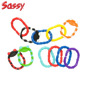 *Sassy �A�j�}���E�����N�X