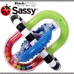 *Sassy �f�B�X�J�o���[�E���[�v�E���g���F�T�b�V�[�y�o�Y�j���M�t�g�v���[���g�z