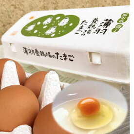 黒麹育ちの赤たまご 鶏卵 国産 生食用 加熱用 薄羽養鶏場