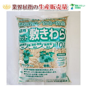 Jbg 10bg  ƒ؉ VR̃}`O ~ ~m m 