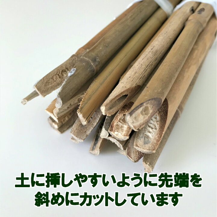 楽天市場】女竹 150cm 100本 農業用、園芸用の支柱として幅広くご利用  