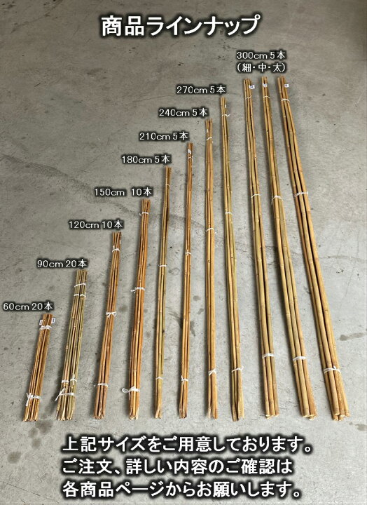 楽天市場】女竹 240cm 50本 （篠竹）農業用、園芸用の支柱として幅広く 