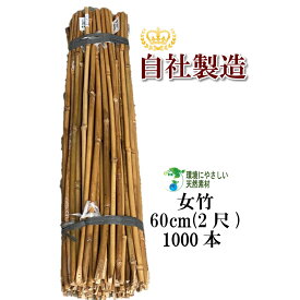 女竹 60cm 1000本 篠竹 しの竹 添え木 竹支柱 農業支柱 園芸支柱 測量用 天然竹 竹 支柱 篠竹