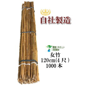 女竹 120cm 1000本 農業用、園芸用の支柱として幅広くご利用いただけます。 竹 支柱 篠竹