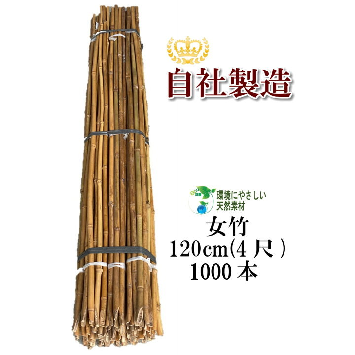 楽天市場】女竹 120cm 1000本 農業用、園芸用の支柱として幅広くご利用 