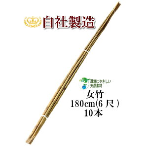 | 180cm 10{ _ƗpA|p̎xƂĕLp܂B | x |