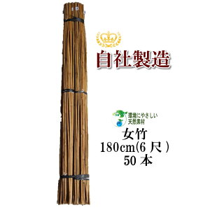 | 180cm 50{ _ƗpA|p̎xƂĕLp܂B | x |