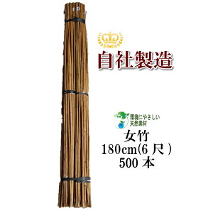 | 180cm 500{ _ƗpA|p̎xƂĕLp܂B | x |