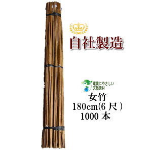 | 180cm 1000{ _ƗpA|p̎xƂĕLp܂B | x |