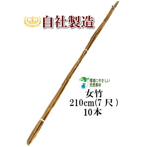 | 210cm 10{ _ƗpA|p̎xƂĕLp܂B | x |