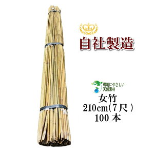 | 210cm 100{ _ƗpA|p̎xƂĕLp܂B | x |