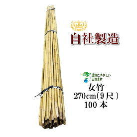 女竹 270cm 100本 農業用、園芸用の支柱として幅広くご利用いただけます。 竹 支柱 篠竹