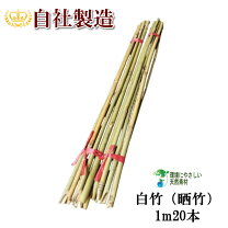 楽天市場】白竹 4mの通販