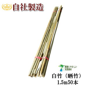 |iN|j1.5m 50{ VR| |x ݂ ͂ Y؂Ȃǂ